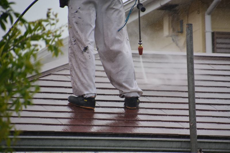 Increase the Lifespan of Your Roof with Pine Needle Removal Service!