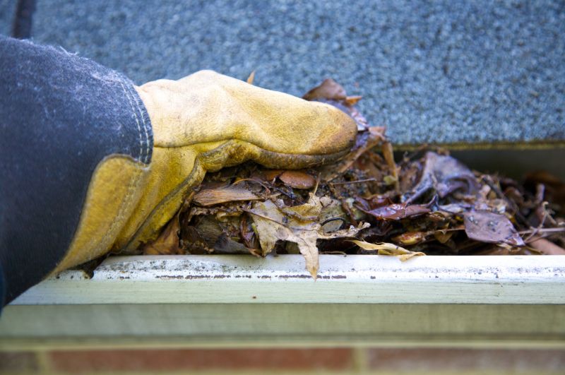 Clean Gutters with Debris