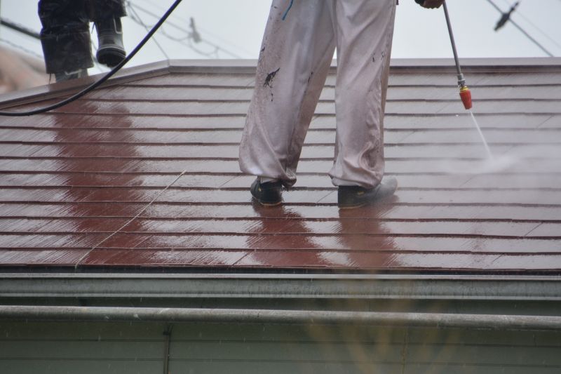 Professional Roof Cleaning Crew
