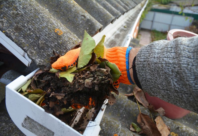 Removing Debris from Roof