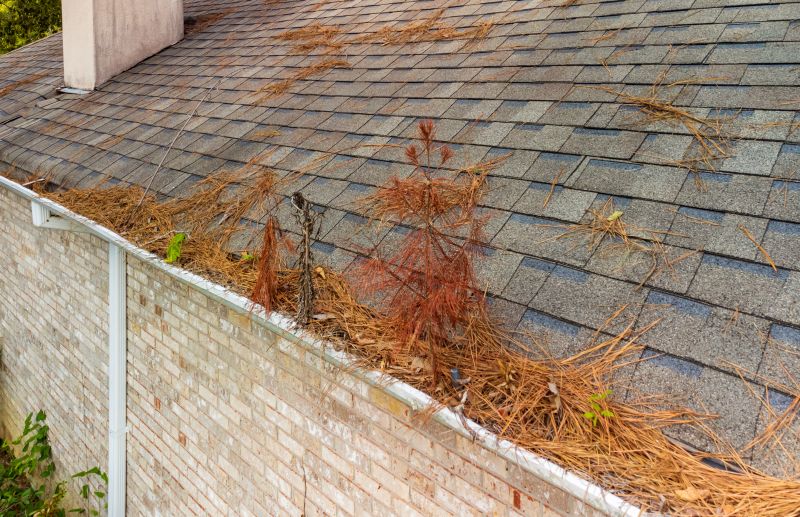 Roof with Pine Needle Accumulation
