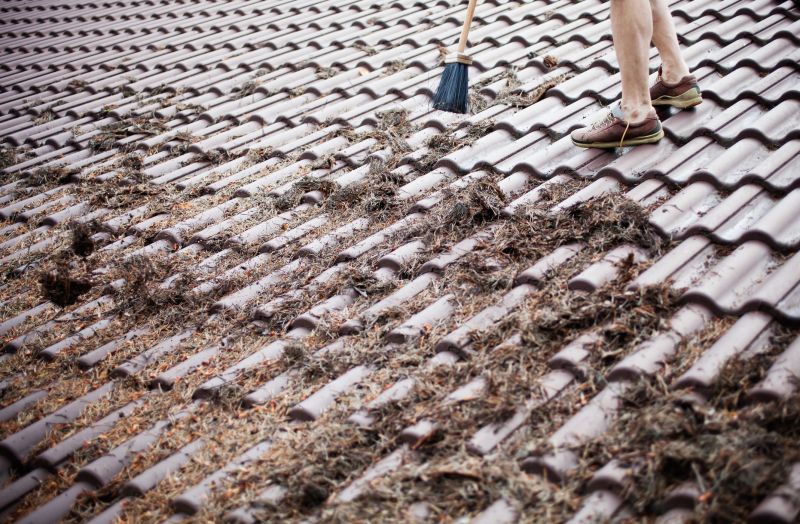 Roof Pine Needle Removal