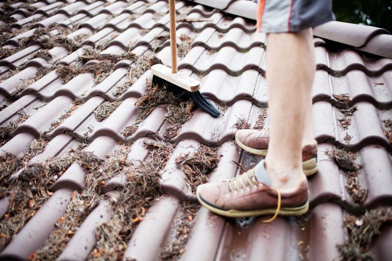 Roof Pine Needle Removal