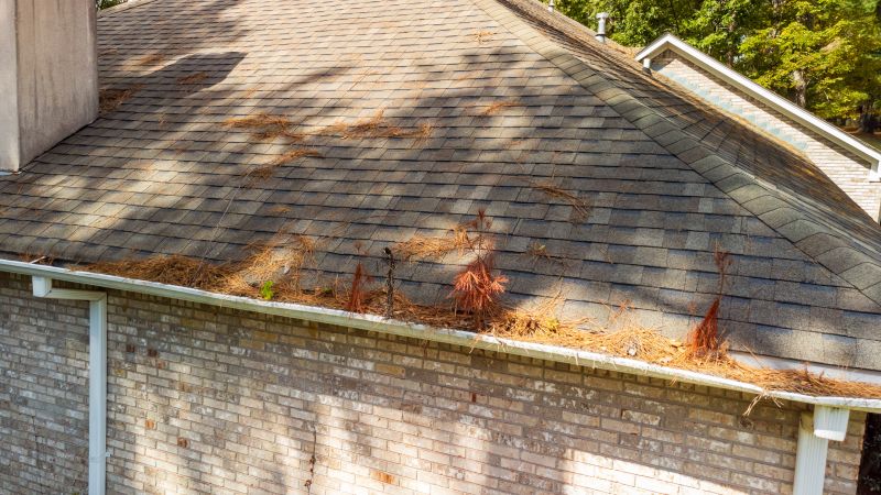 Completed Roof Cleaning