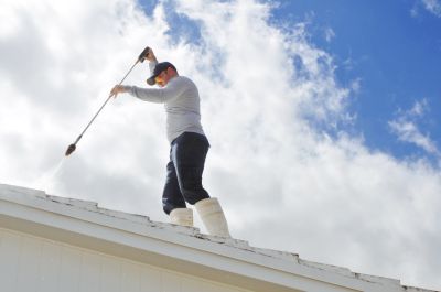 Avoid Harming Your Roof with Roof Pine Needle Removal!